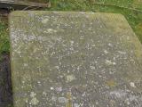 image of grave number 29562